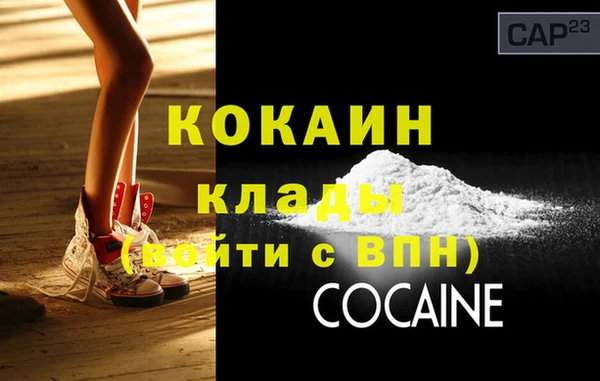 гашик Осинники
