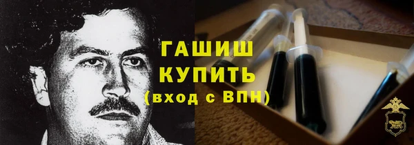 гашик Осинники