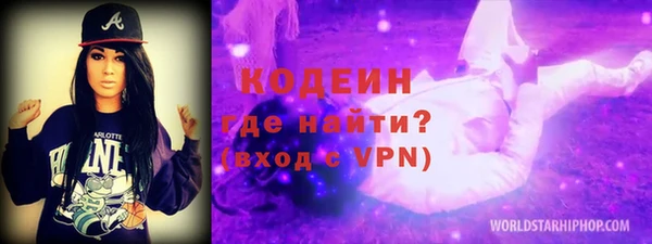 гашик Осинники