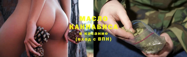 гашик Осинники