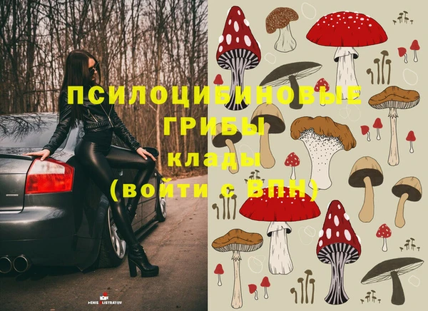 гашик Осинники
