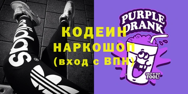 гашик Осинники