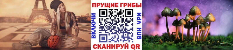 Галлюциногенные грибы мицелий  Хадыженск 